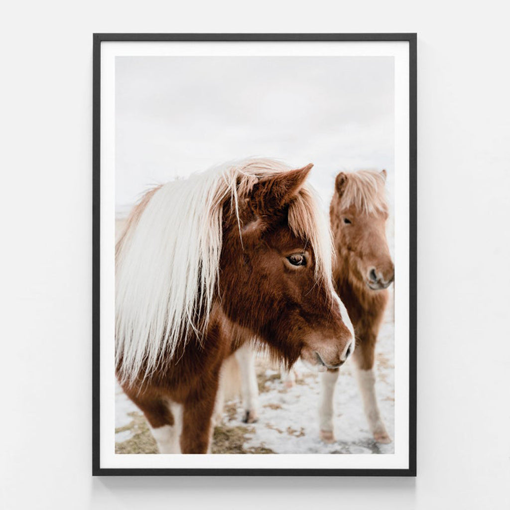 Animals art prints -Wild Horse - Canvas Prints - Poster Prints