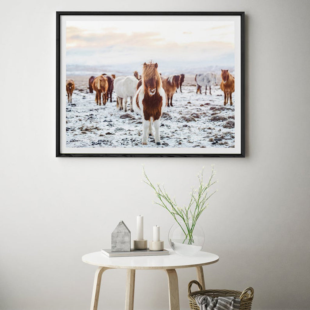 Animals art prints - Wild Horses - Canvas Prints - Poster Prints