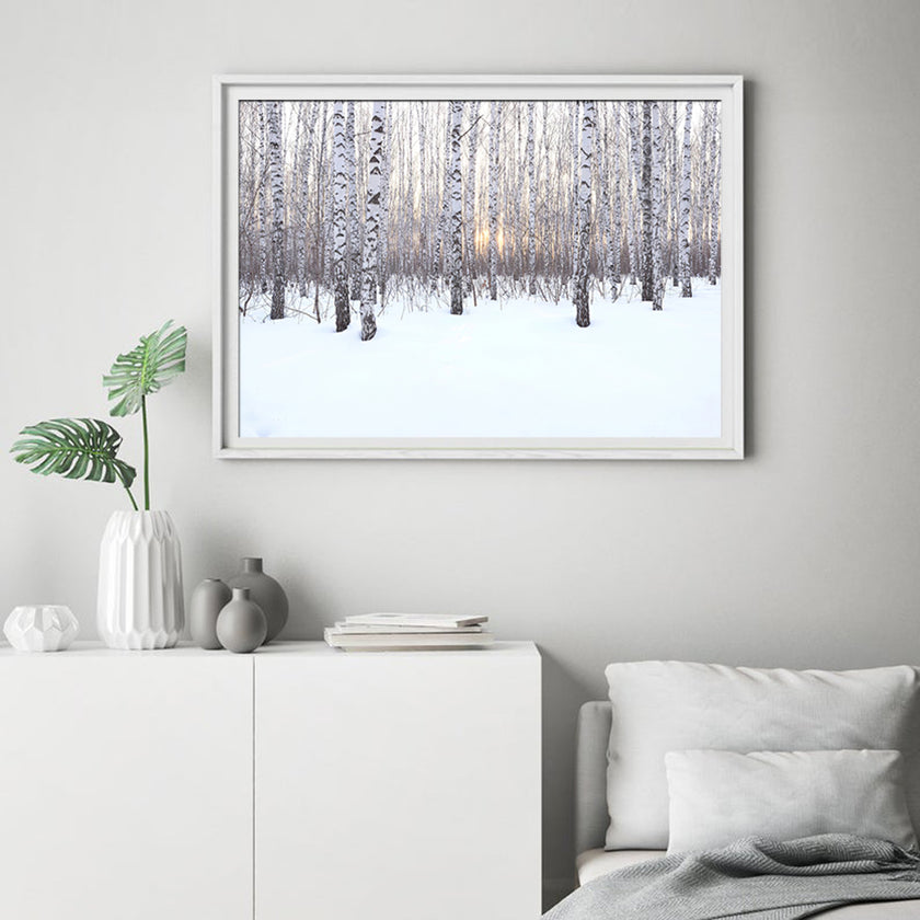 Wall art - Winter birch grove - Canvas Prints - Poster Prints