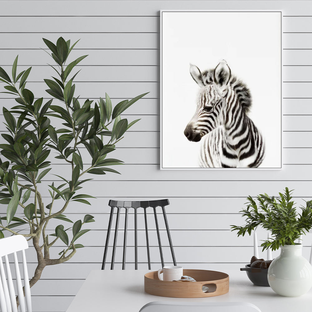 Wall Art - Zebra - Canvas Prints-Poster Prints