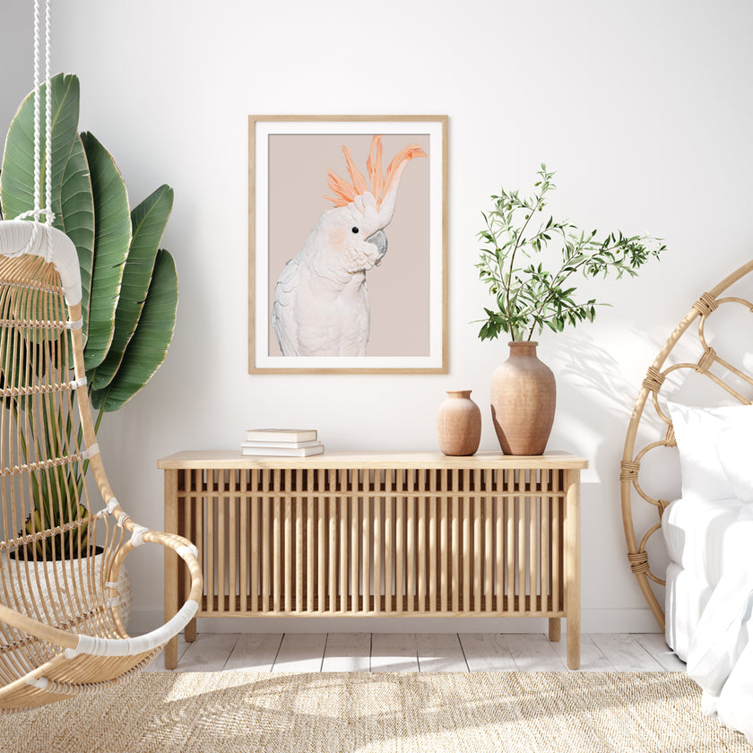 Wall art - White Cockatoo - Canvas Prints - Poster Prints