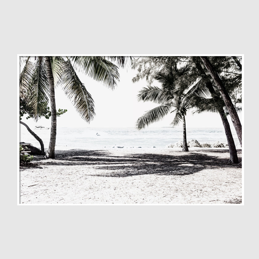 Landscape art prints -Wategos beach photo (white series) - Poster Prints -Canvas Prints
