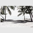 Landscape art prints -Wategos beach photo (white series) - Poster Prints -Canvas Prints