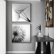Wall Art Prints - Black and white dandelion (2 sets)- Canvas Prints-Poster Prints