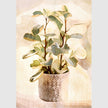 Wall Art - Botanical Leaves Watercolor Style 3 sets - Poster Prints -Canvas Prints