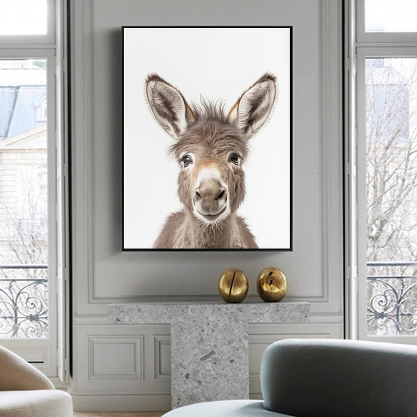Wall Art - Donkey Baby - Canvas Prints-Poster Prints