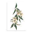 Wall art - Durian-leaves-and-flowers ( 2 sets) - Canvas Prints - Poster Prints