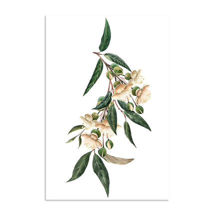 Wall art - Durian-leaves-and-flowers ( 2 sets) - Canvas Prints - Poster Prints