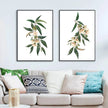 Wall art - Durian-leaves-and-flowers ( 2 sets) - Canvas Prints - Poster Prints