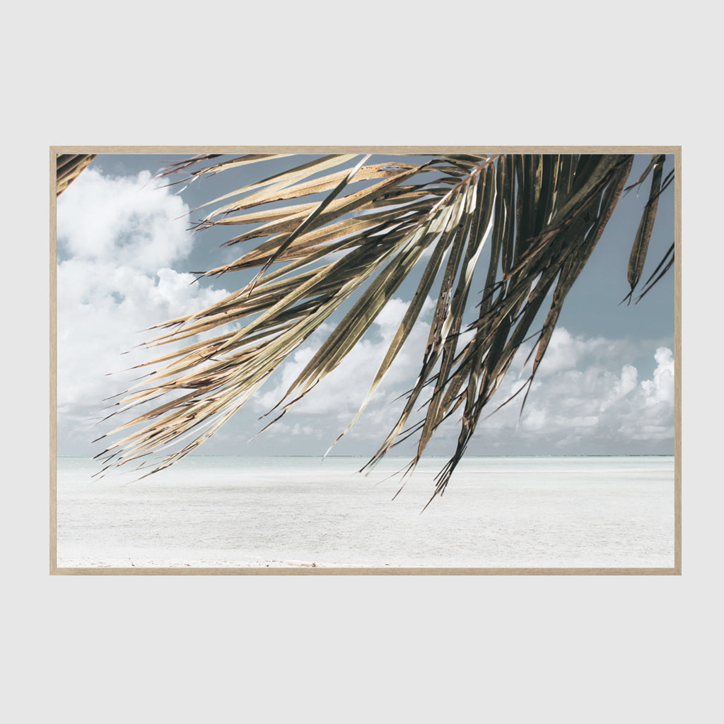 Landscape art prints -Green coconut tree leaves under blue and white sky- PHOTO ART PRINTS- Poster Prints -Canvas Prints