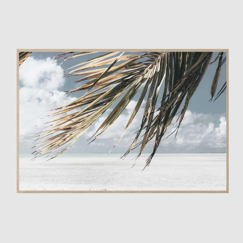 Landscape art prints -Green coconut tree leaves under blue and white sky- PHOTO ART PRINTS- Poster Prints -Canvas Prints