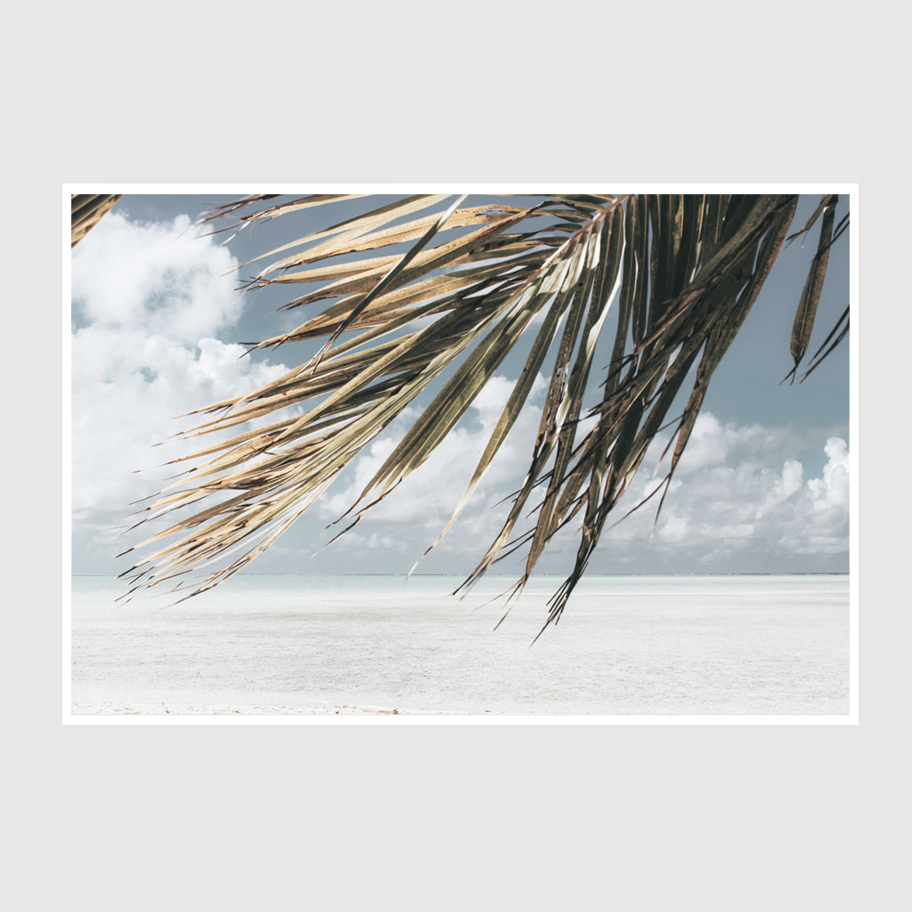 Landscape art prints -Green coconut tree leaves under blue and white sky- PHOTO ART PRINTS- Poster Prints -Canvas Prints