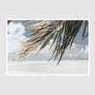 Landscape art prints -Green coconut tree leaves under blue and white sky- PHOTO ART PRINTS- Poster Prints -Canvas Prints