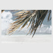 Landscape art prints -Green coconut tree leaves under blue and white sky- PHOTO ART PRINTS- Poster Prints -Canvas Prints