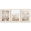 Wall Art  - Dried Flower 3 sets - Poster Prints -Canvas Prints