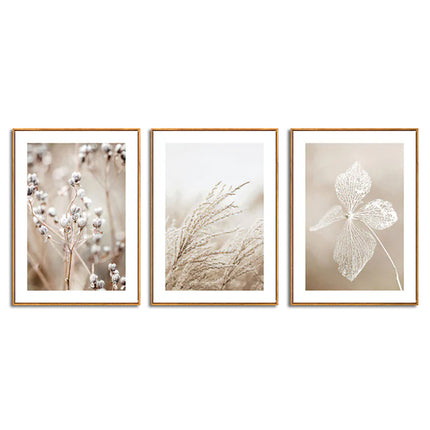 Wall Art  - Dried Flower 3 sets - Poster Prints -Canvas Prints