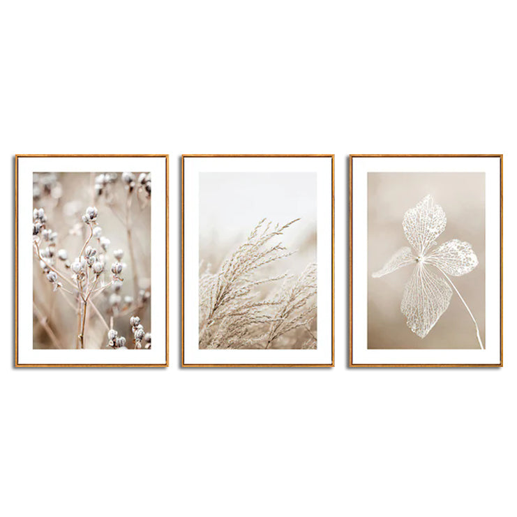 Wall Art  - Dried Flower 3 sets - Poster Prints -Canvas Prints