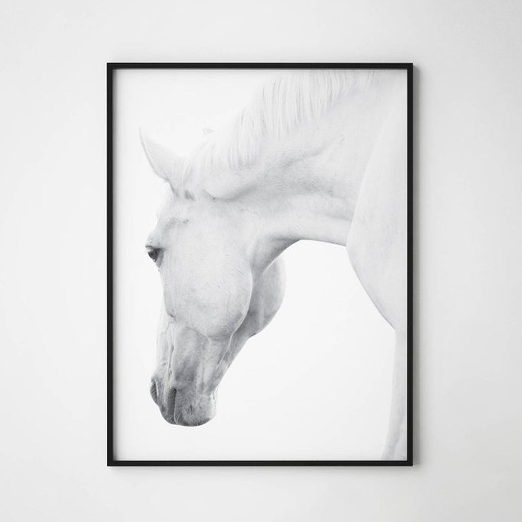 Wall art - White horses 2 sets- Canvas Prints- Poster Prints