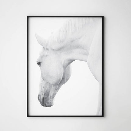 Wall art - White horses 2 sets- Canvas Prints- Poster Prints