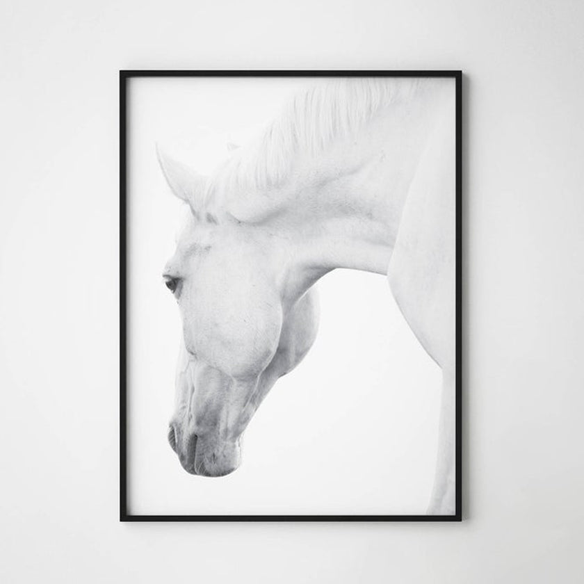 Wall art - White horses 2 sets- Canvas Prints- Poster Prints