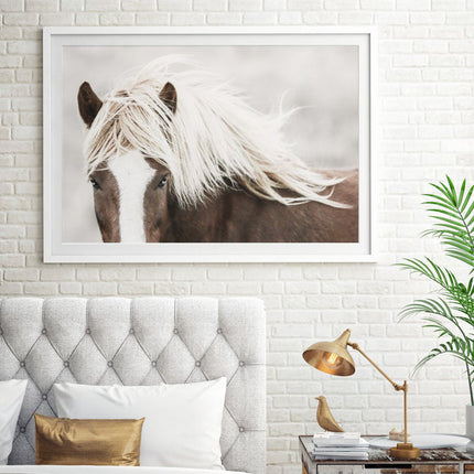Wall art - Wild Horse - Canvas Prints - Poster Prints
