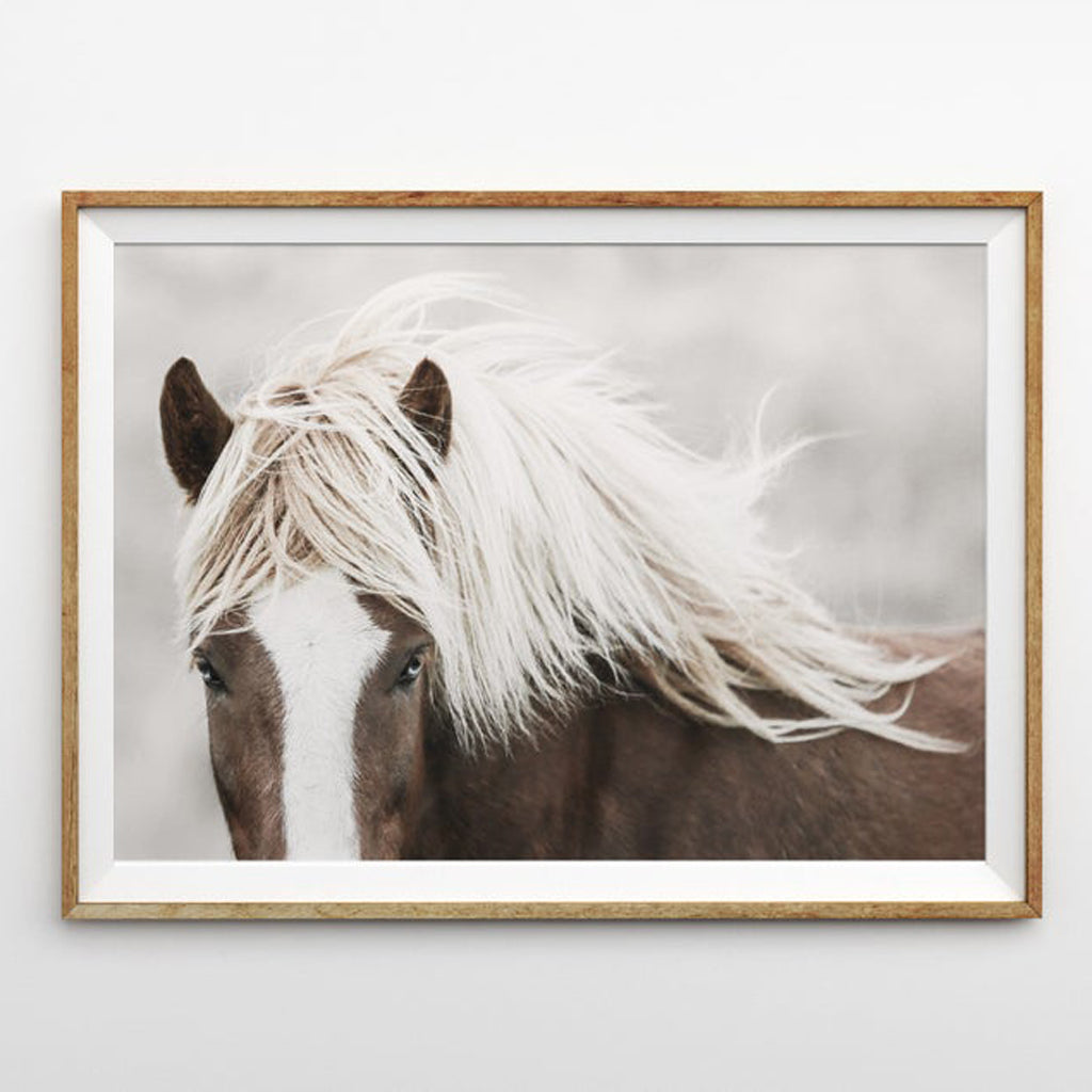 Wall art - Wild Horse - Canvas Prints - Poster Prints