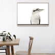 Wall art - Native Kookaburra- Canvas Prints - Poster Prints