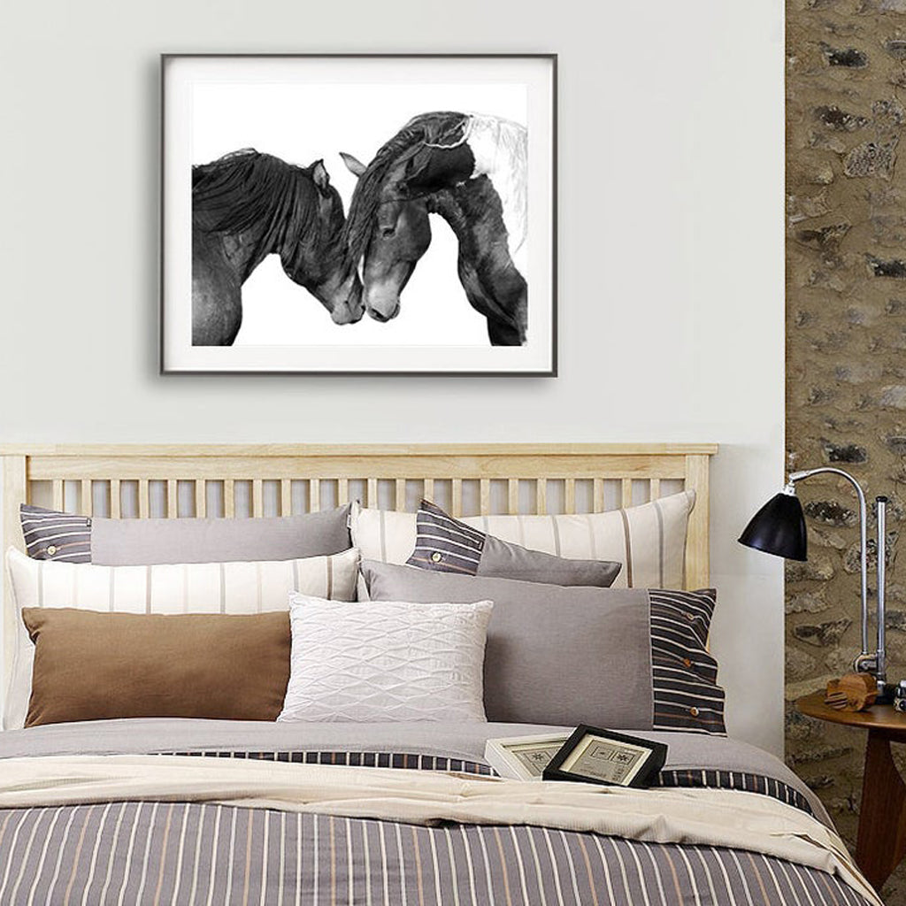 Animals art prints - Black white horses - Canvas Prints - Poster Prints