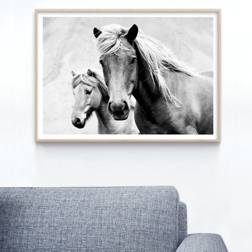 Wall art - Horses Black and White - Canvas Prints - Poster Prints