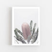 Botaniacal art prints - Banksia - Canvas Prints - Poster Prints
