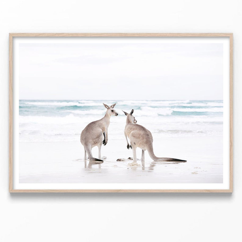 Wall art - Kangaroo - Canvas Prints - Poster Prints