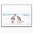 Wall art - Kangaroo - Canvas Prints - Poster Prints