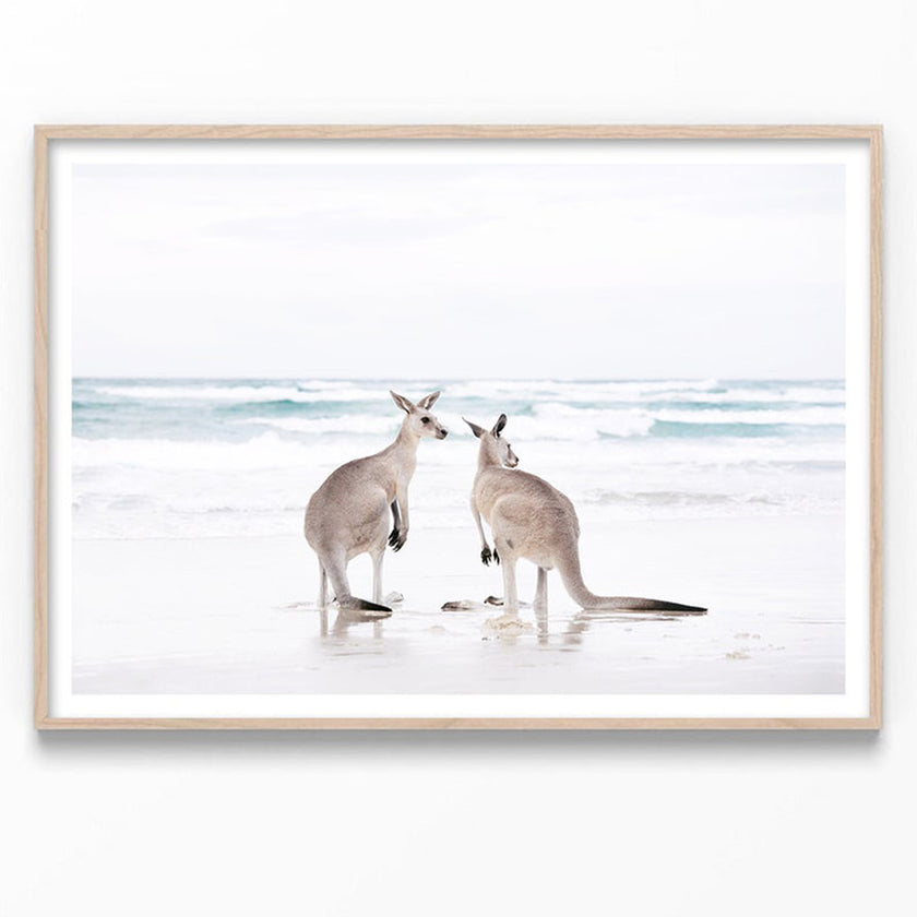 Wall art - Kangaroo - Canvas Prints - Poster Prints