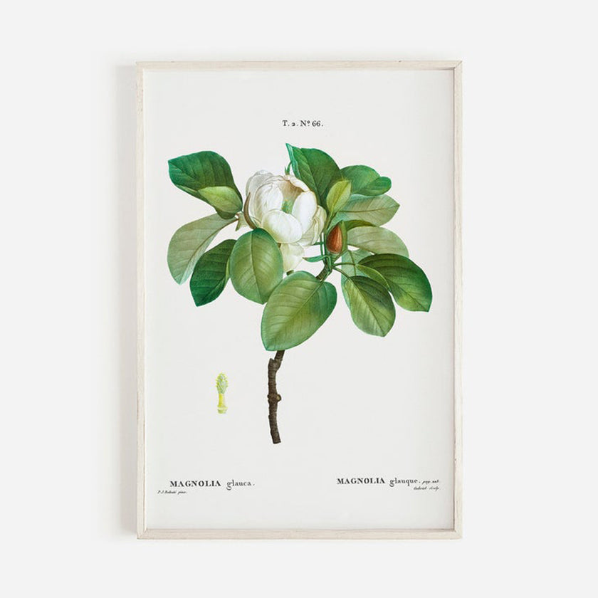 Wall art - Magnolia Grandi Flora 2 sets- Canvas Prints- Poster Prints