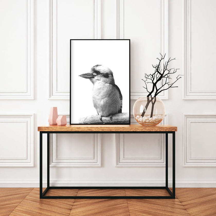 Wall art - Kookaburra - Canvas Prints - Poster Prints