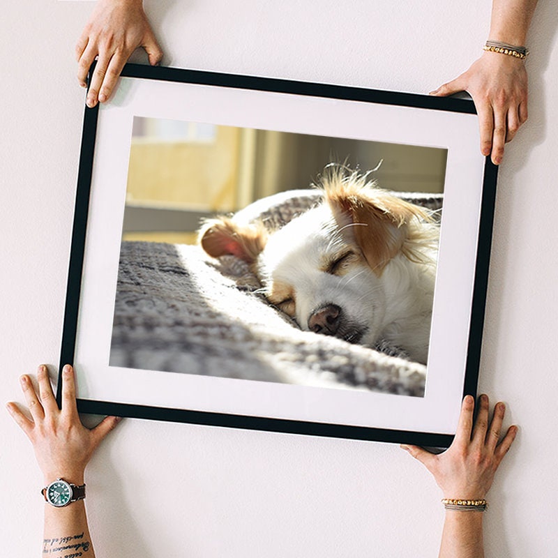 Custom Printing Service, Print in Any Size, Personalised Framing, Custom Poster Print, Canvas Print, Ready to Hang