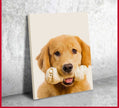 Custom Printing Service, Print in Any Size, Personalised Framing, Custom Poster Print, Canvas Print, Ready to Hang