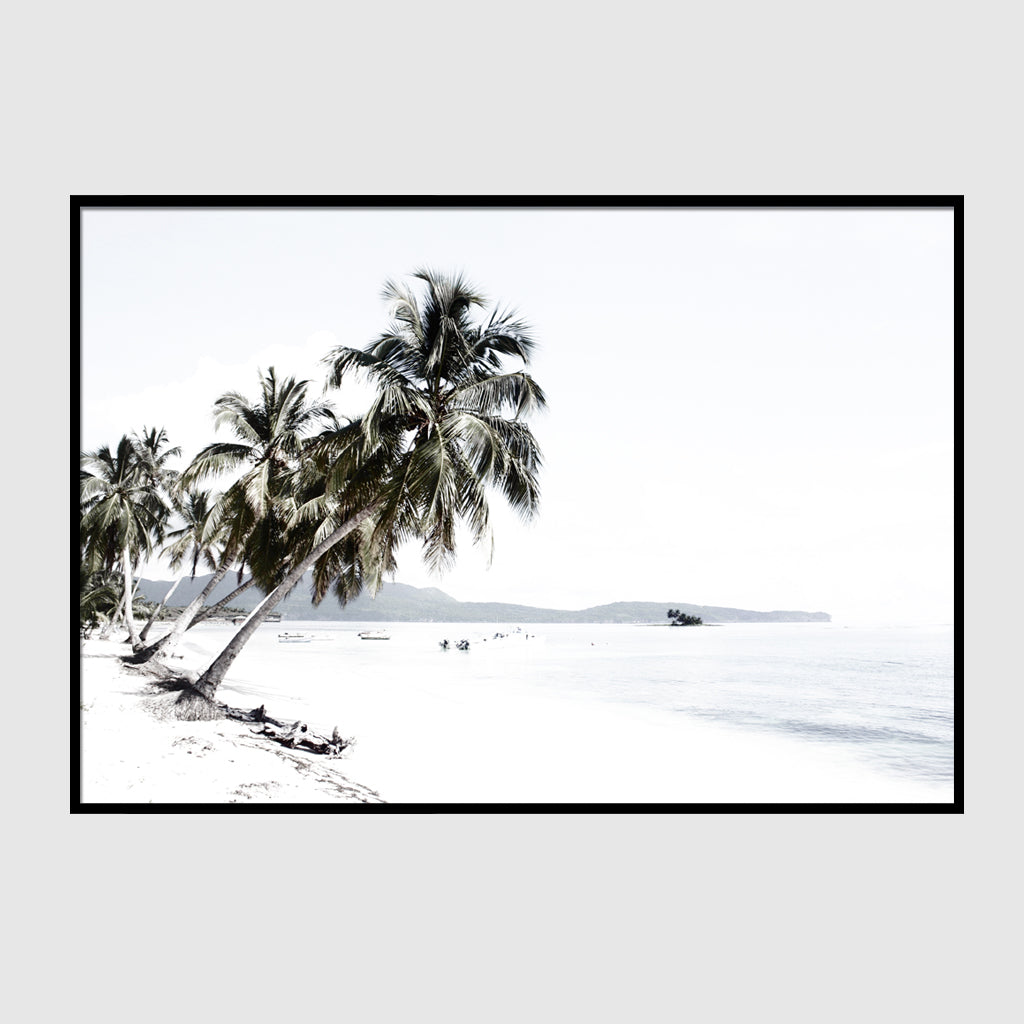 Landscape art prints -Coconut tree leaves and the beach(white series)- PHOTO ART PRINTS- Poster Prints -Canvas Prints