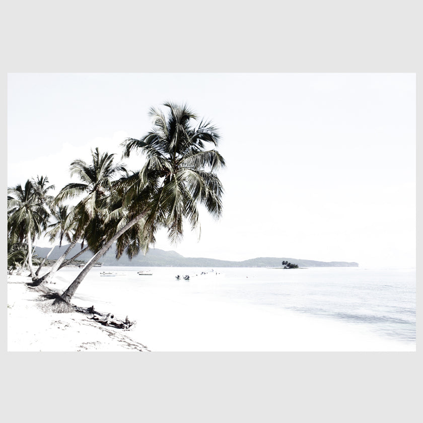 Landscape art prints -Coconut tree leaves and the beach(white series)- PHOTO ART PRINTS- Poster Prints -Canvas Prints