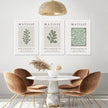 Wall Art - Matisse Green (3 sets) - Canvas Prints-Poster Prints