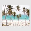 Wall Art - Florida Palm Tree - Canvas Prints-Poster Prints