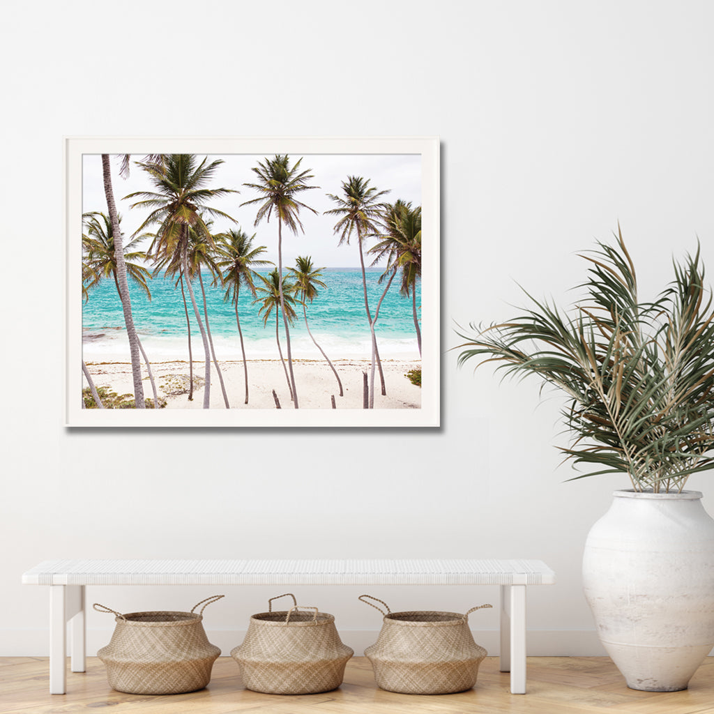 Wall Art - Florida Palm Tree - Canvas Prints-Poster Prints