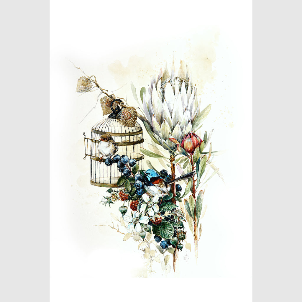 Wall art - Berries And Protea 2 sets- Canvas Prints- Poster Prints