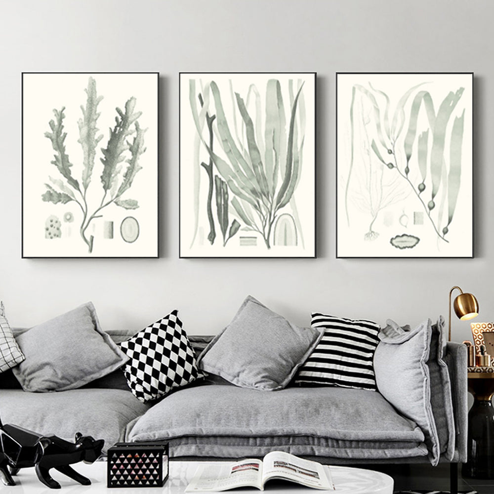 Wall Art  - Sage Green Seaweed 3 Sets - Poster Prints -Canvas Prints