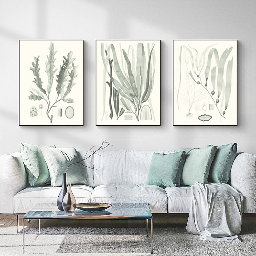 Wall Art  - Sage Green Seaweed 3 Sets - Poster Prints -Canvas Prints