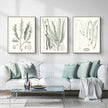 Wall Art  - Sage Green Seaweed 3 Sets - Poster Prints -Canvas Prints