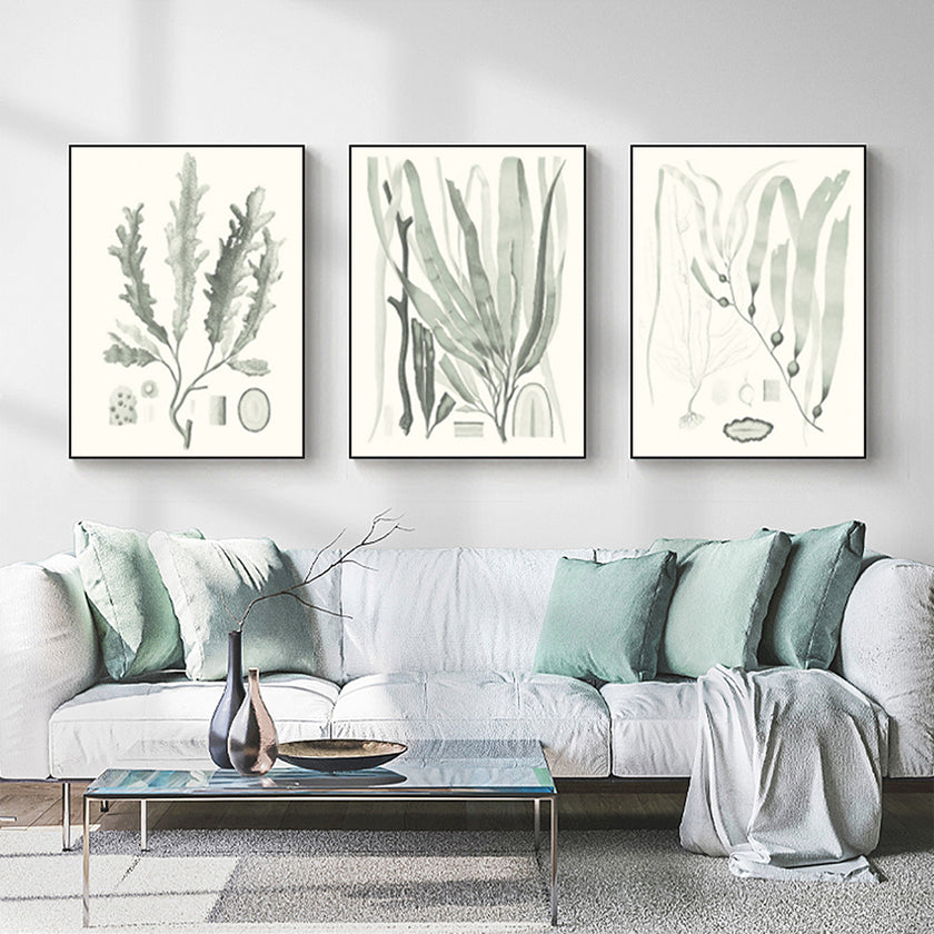 Wall Art  - Sage Green Seaweed 3 Sets - Poster Prints -Canvas Prints