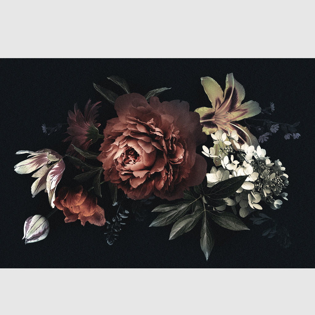 Botanical art prints - Floral with black background - Canvas Prints - Poster Prints