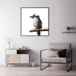 Wall Art - Kookaburra Square Size - Canvas Prints-Poster Prints