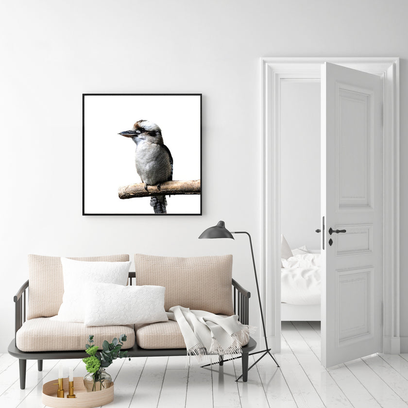 Wall Art - Kookaburra Square Size - Canvas Prints-Poster Prints